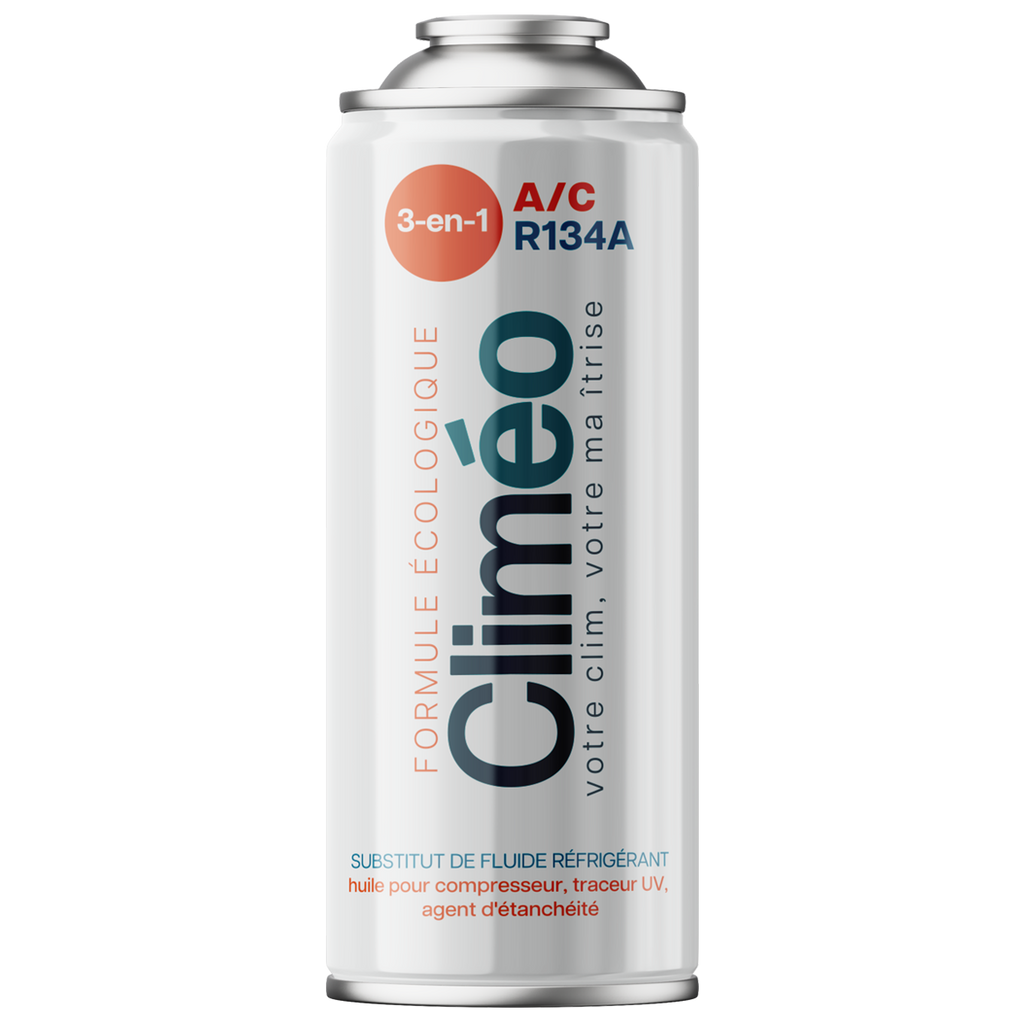 Climéo 3-en-1 avec gaz pour climatisation (A/C) R134a