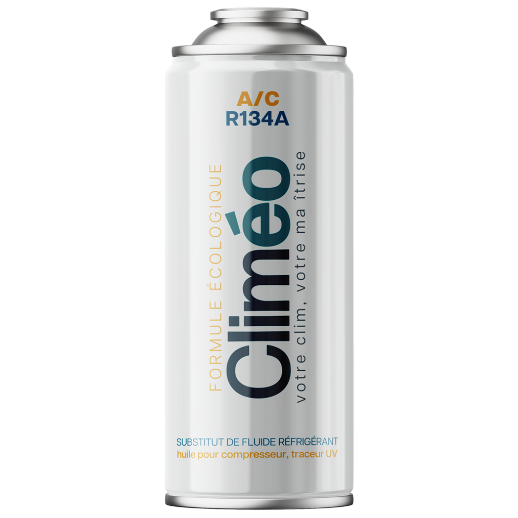 Climéo 2-en-1 avec gaz pour climatisation (A/C) R134a